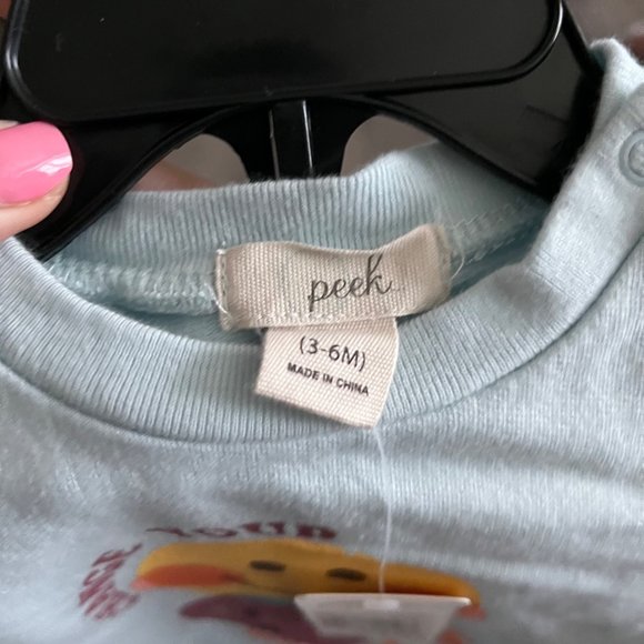 NWT Peek Essentials Graphic Sweatshirt & Leggings Set Light Blue 3-6M - Picture 5 of 10